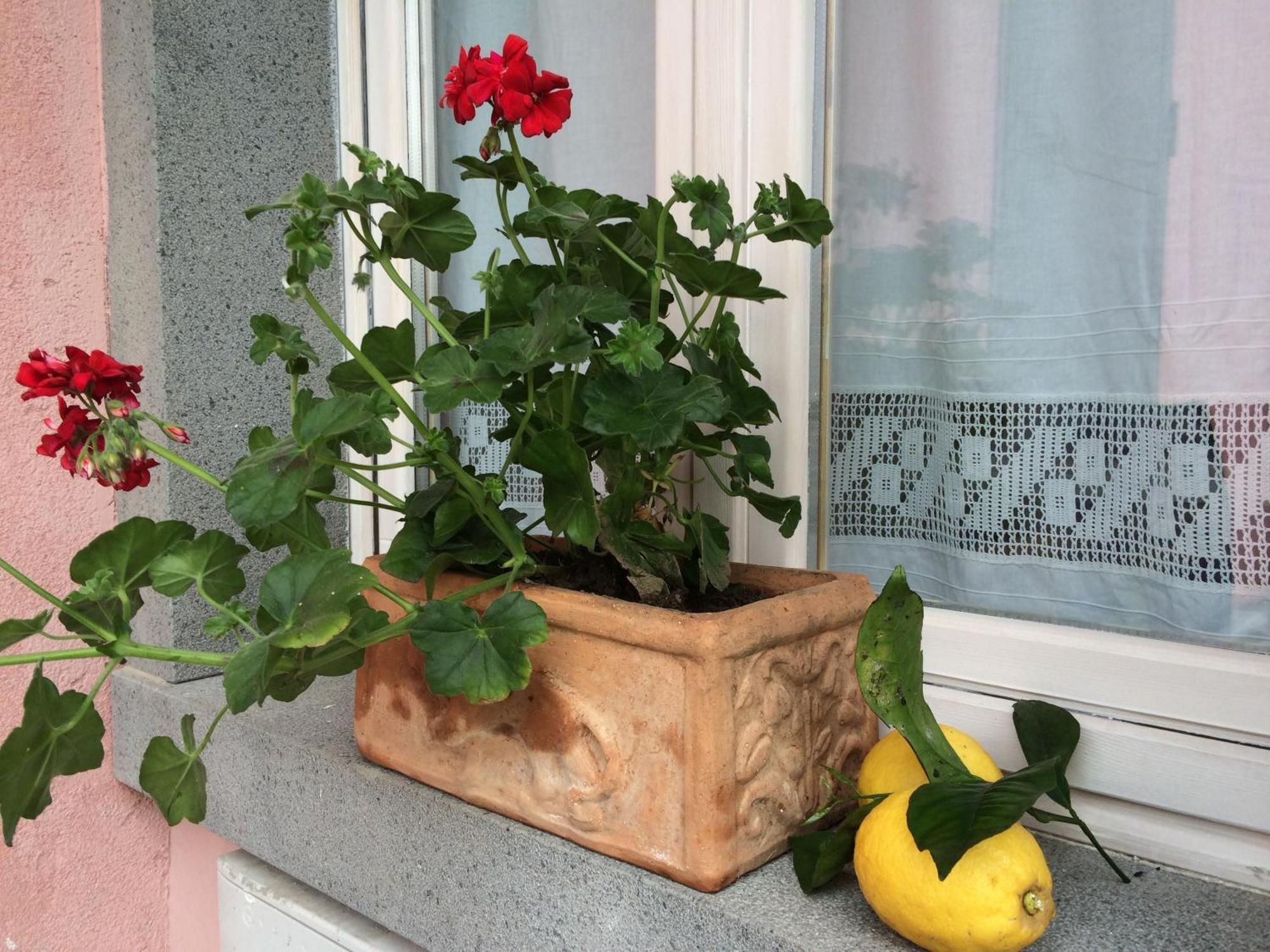 Bed and Breakfast Il Giardino Segreto Trappitello Exterior foto