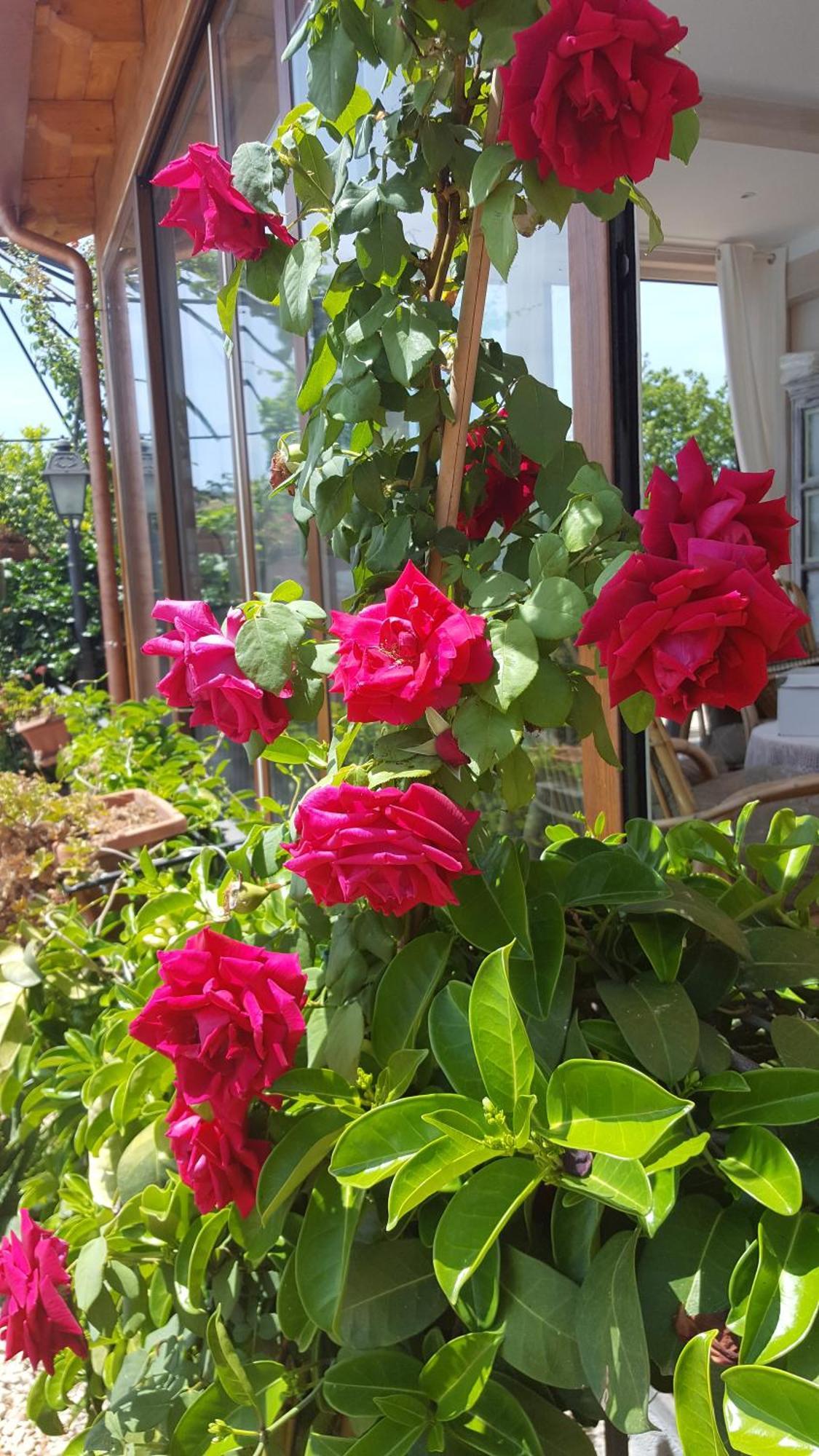 Bed and Breakfast Il Giardino Segreto Trappitello Exterior foto